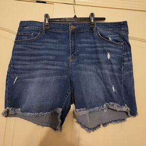 A.N.A 22W Jean Shorts